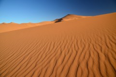 Sahara Desert